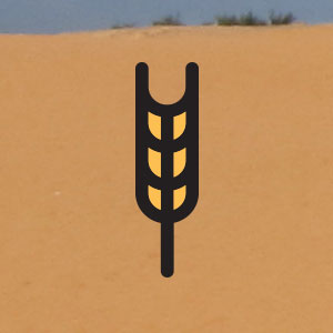 some image